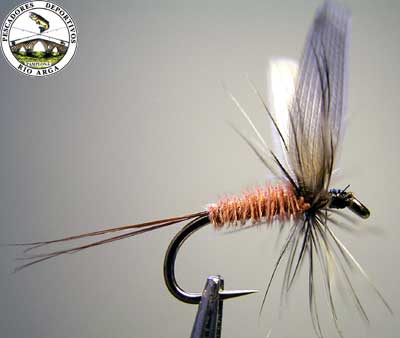 Una de las secas que utiliza Richard. Efemera-1